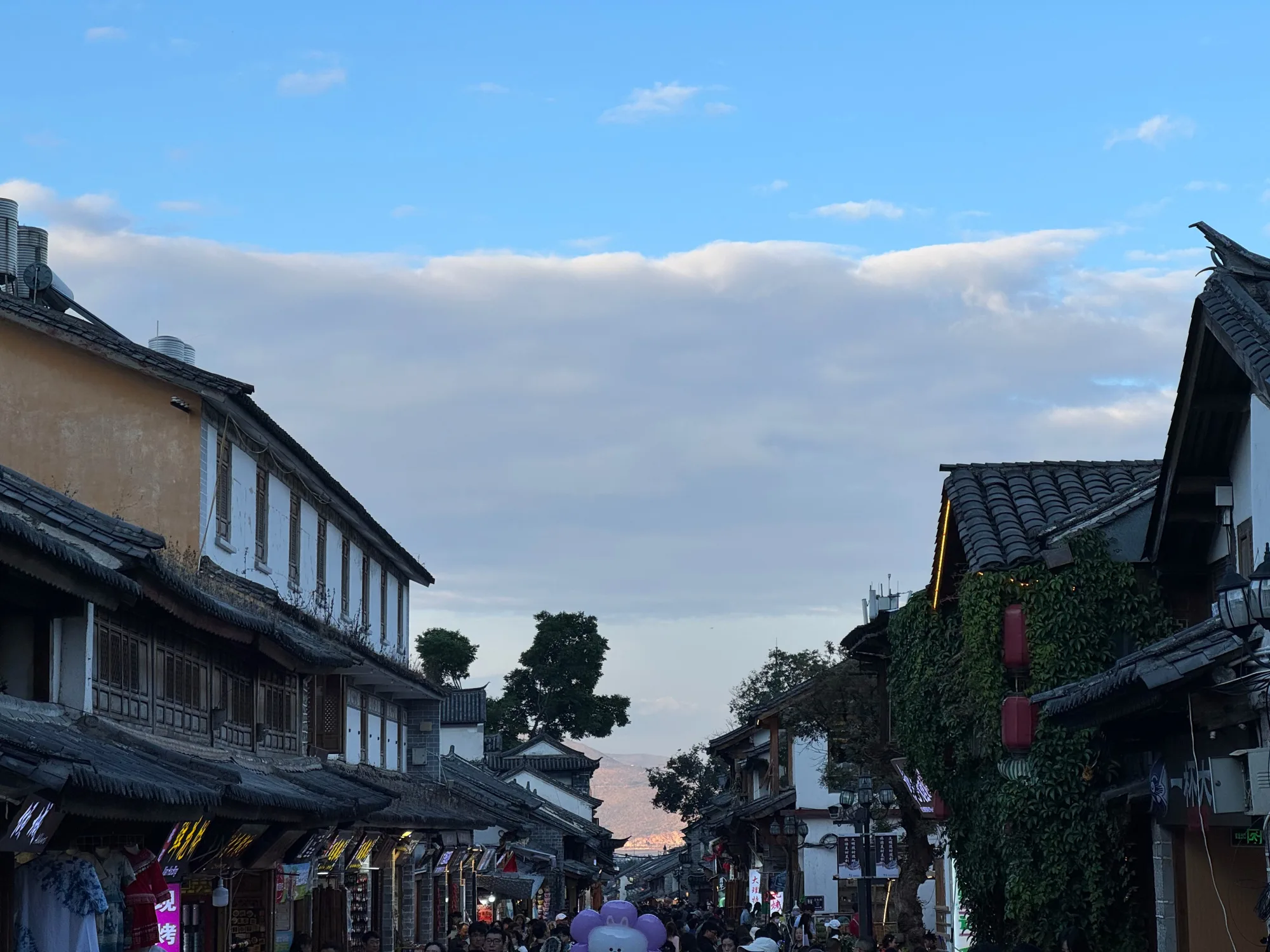 DSC04965.jpeg
